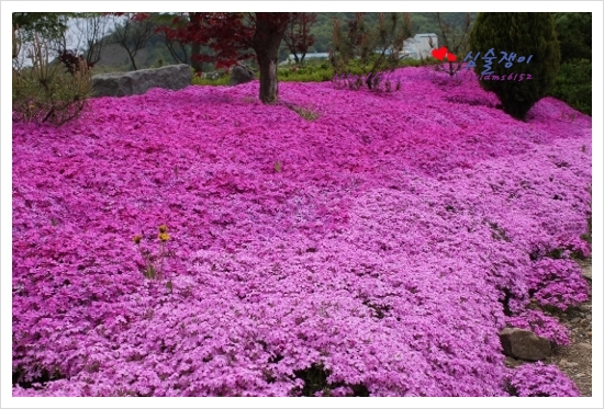 충민 이미지