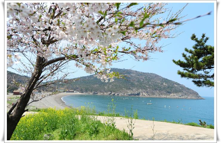 미영펜션 이미지