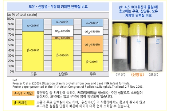 프린탈 이미지