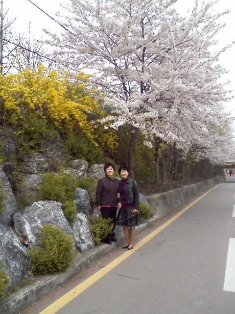 박창옥 이미지