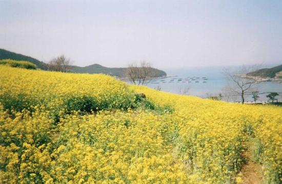 느림미 이미지
