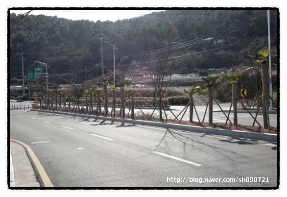 서암주유소 이미지