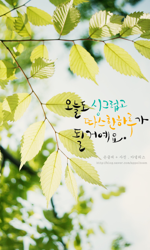 이쁜핸드폰 이미지