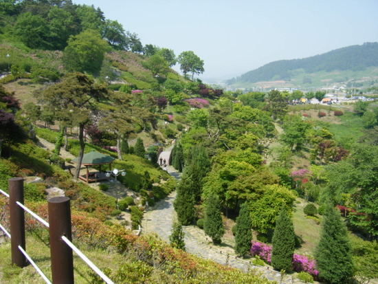 숲쟁이 이미지