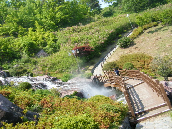 숲쟁이 이미지