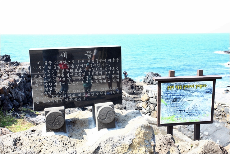 대섭동산 이미지