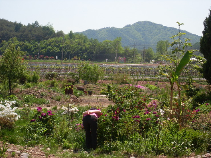 산넘어양촌에는 이미지
