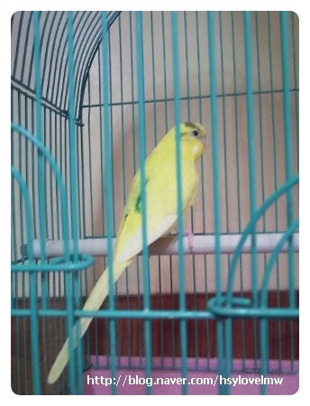 메르깐띠 이미지