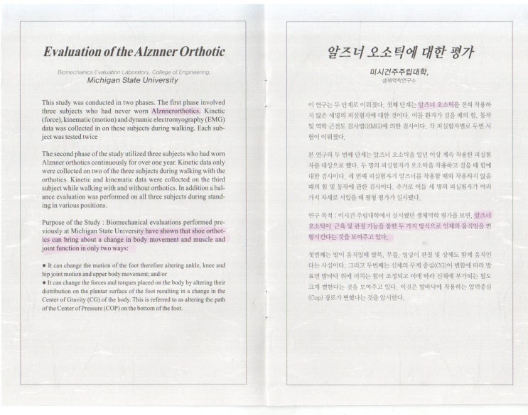 알즈너대한 이미지