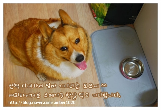 모모맘마 이미지