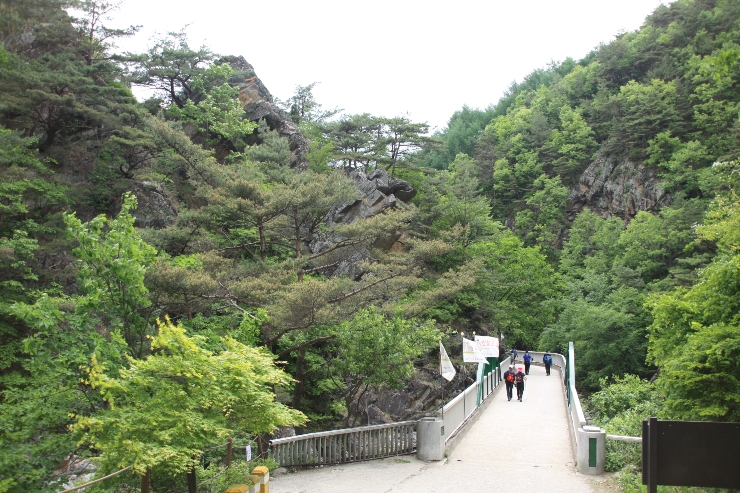 소백산오토캠핑장 이미지