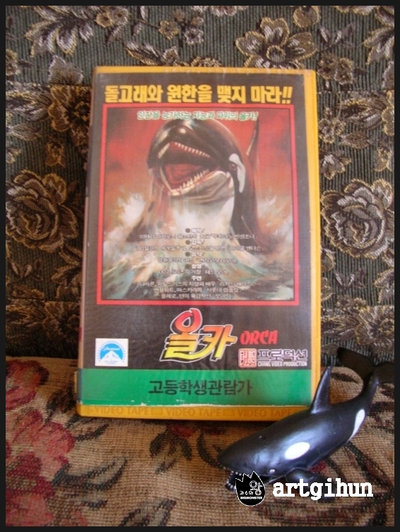 올카 (orca) 이미지