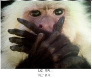 촌놈 이미지