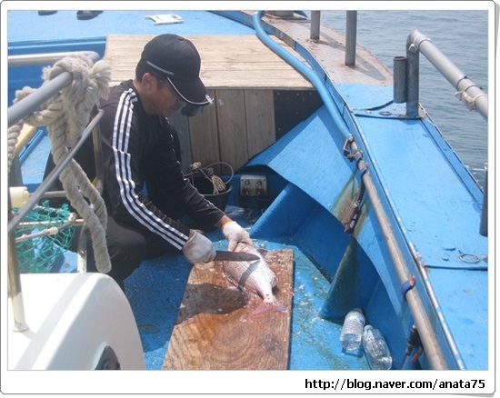 서천비치텔 이미지
