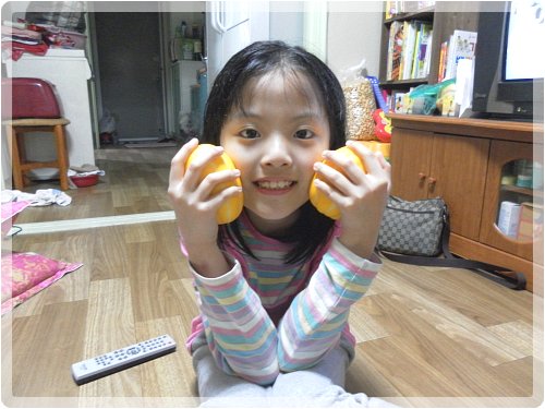수진농원 이미지