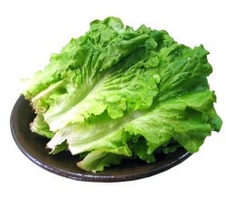 해가원푸드 이미지