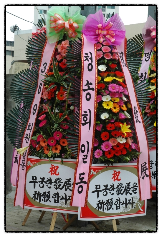 에코카프라자 이미지