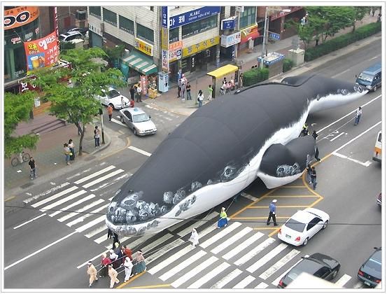 태화강라이브 이미지