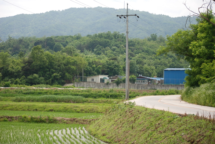 노원교주유소 이미지