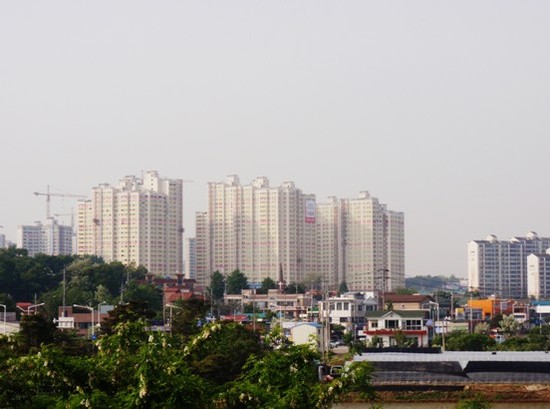 덕이내 이미지