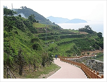 삼천포건어물 이미지