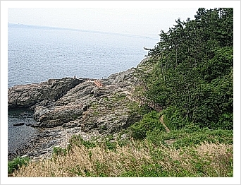 구조라건어물 이미지
