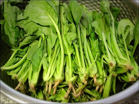 참살이식품(주) 이미지