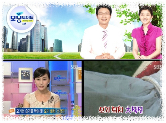들꽃비누공방 이미지