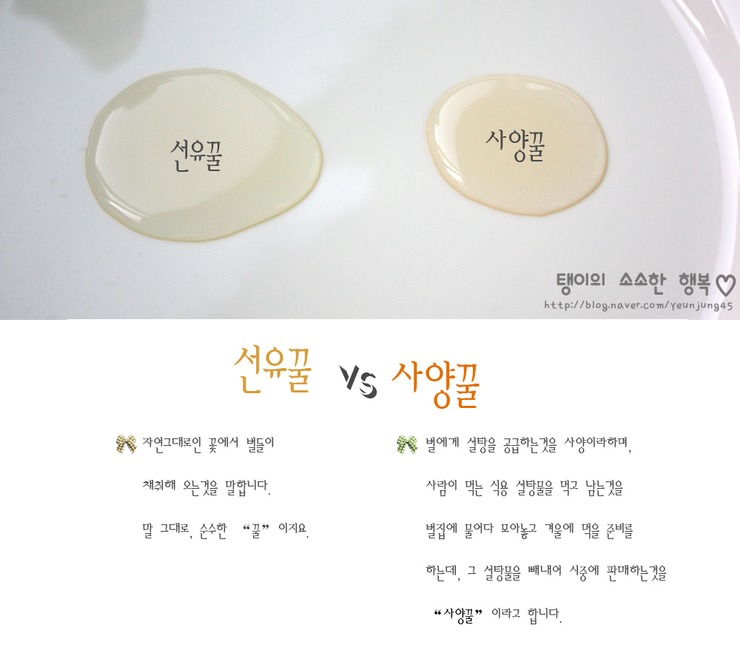 한국양봉농업협동조합 이미지