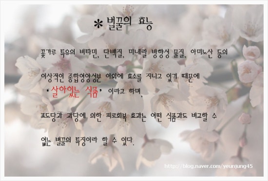 한국양봉농업협동조합 이미지