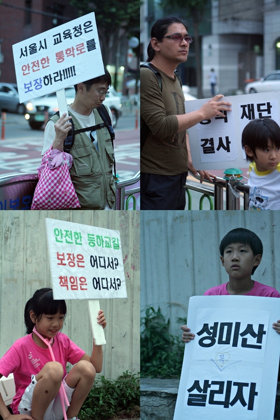 리본나무 이미지