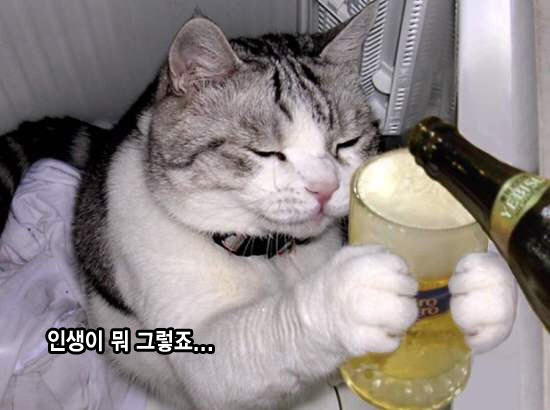 공감 이미지