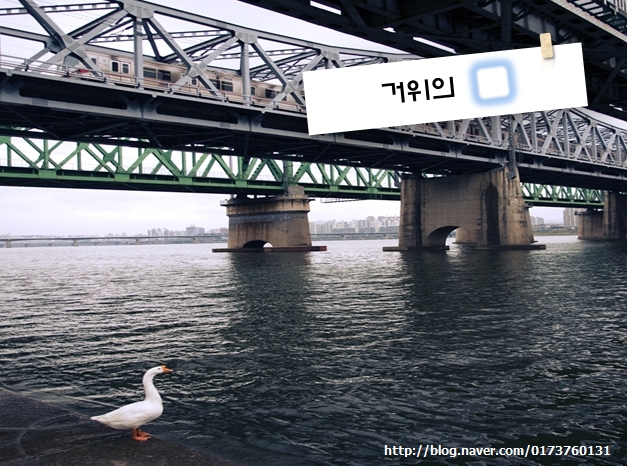 이도원 이미지