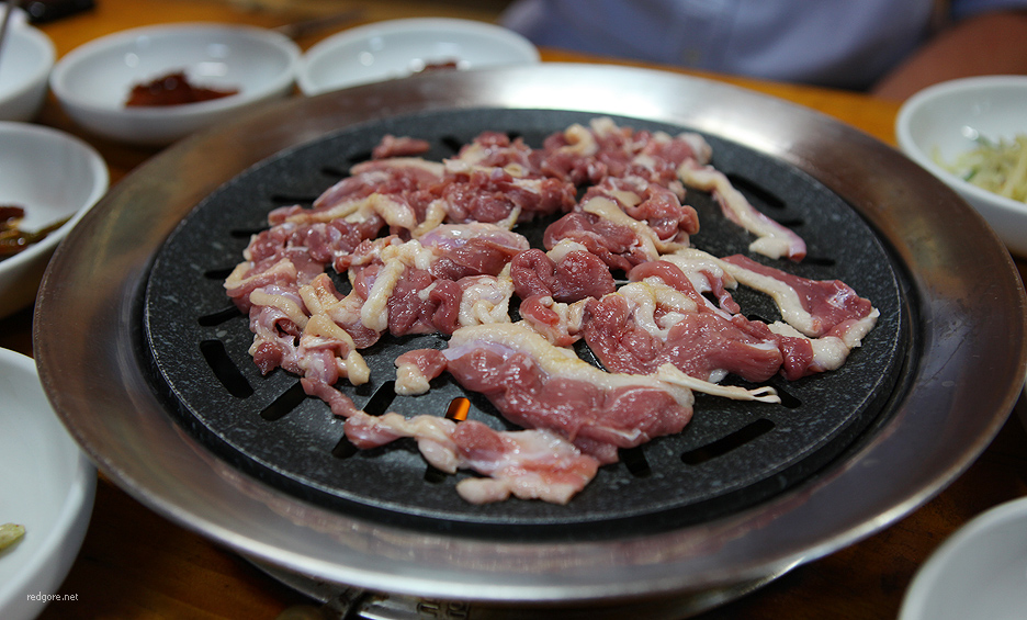 숲속의오리 이미지