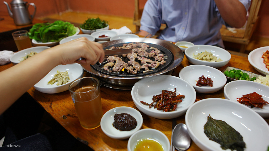 숲속의오리 이미지