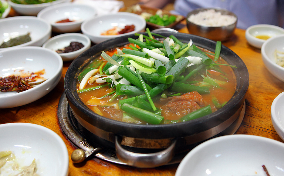 숲속의오리 이미지