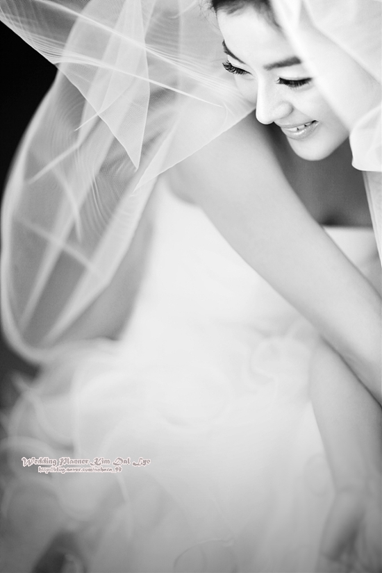 더 화이트(The White) 이미지