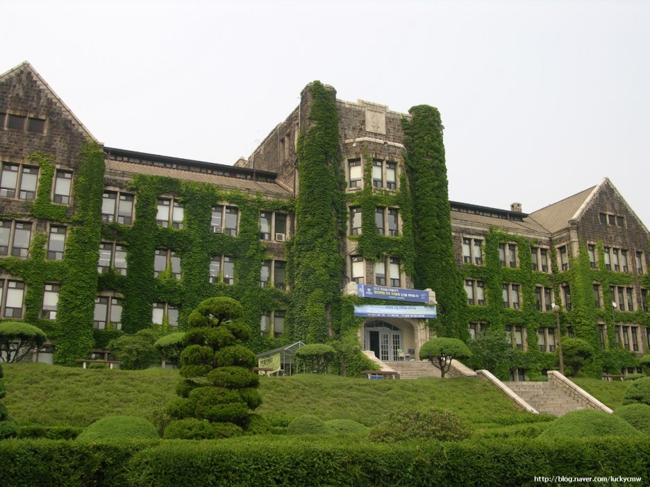 연세대학교 탐방기2 : 네이버 블로그