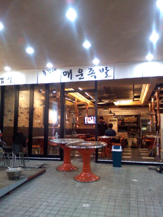 총각갈매기 이미지
