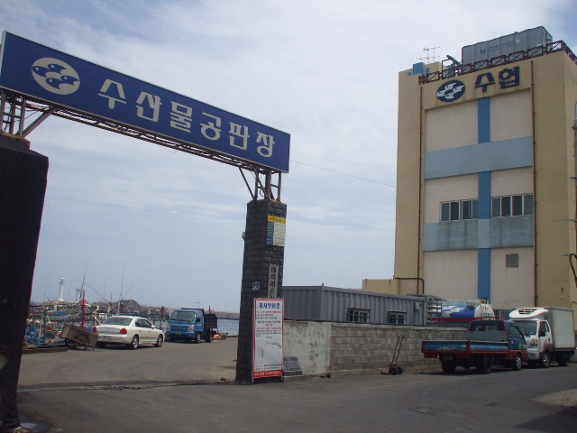 제주시수산업협동조합 이미지