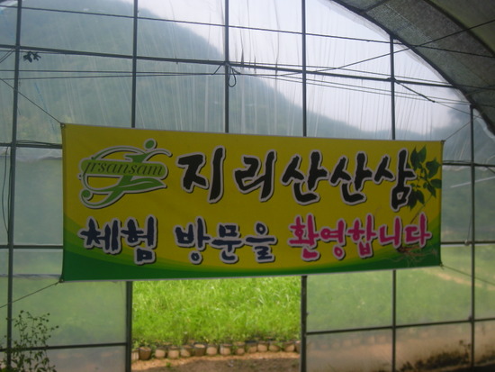 산삼하우스 이미지