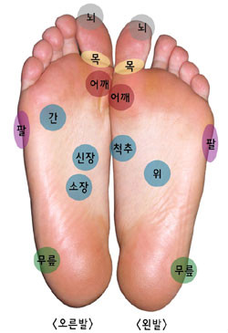 발건강관리족심도 이미지