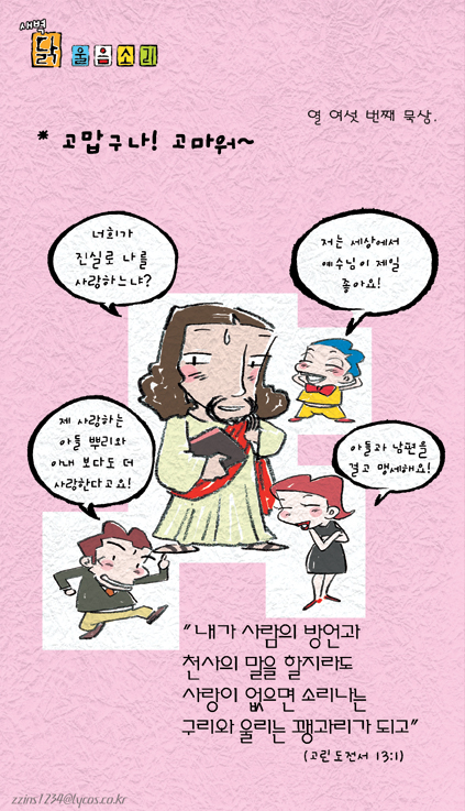 새벽닭 이미지
