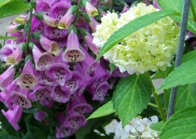 뷰티플건강 (Beautiful Health) 이미지