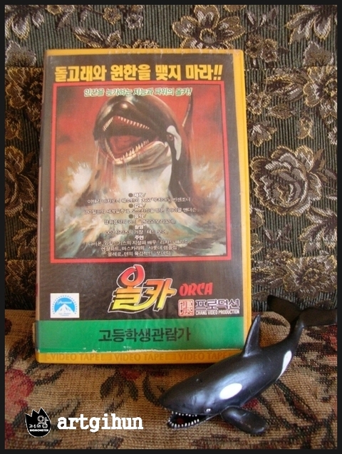 꼬치선생 이미지