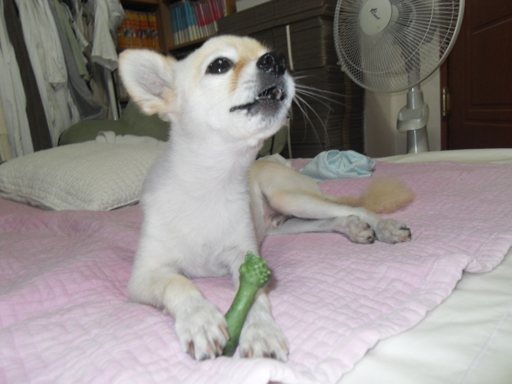 오물오물 이미지