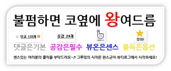 티엠스포츠 이미지
