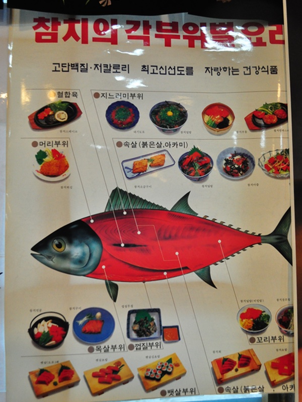 청참치 이미지