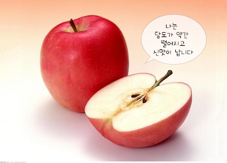 진솔식품 이미지