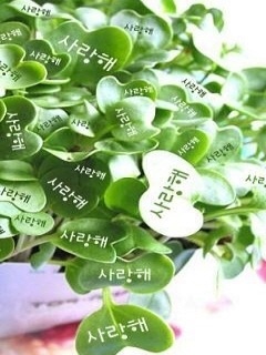 매드 소울 차일드(MAD SOUL CHILD) 이미지